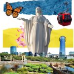 WhatsApp Image 2025-12-17 at 11.10.58 AM